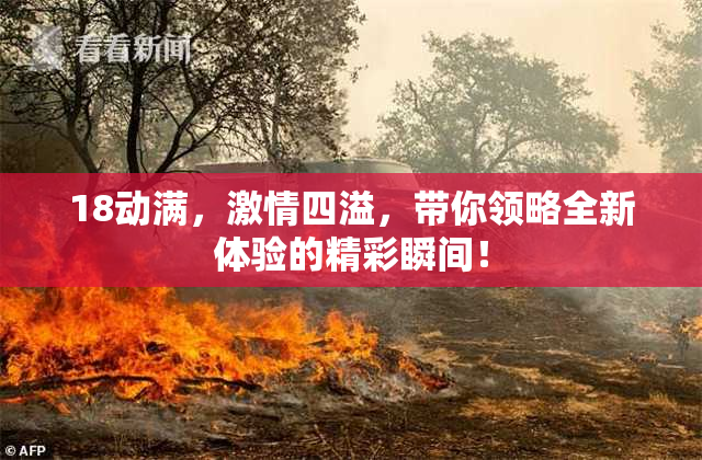 18动满，激情四溢，带你领略全新体验的精彩瞬间！