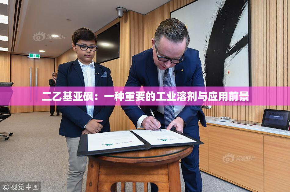 二乙基亚砜：一种重要的工业溶剂与应用前景