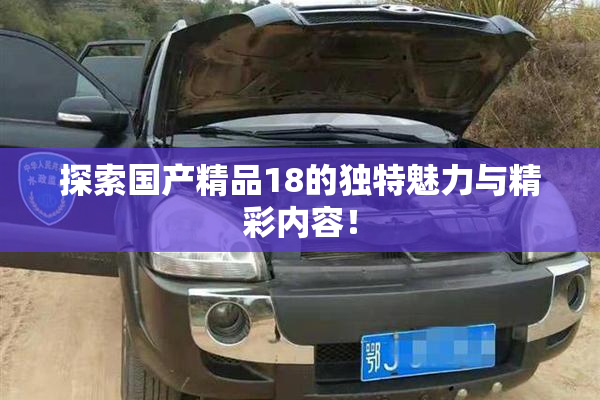 探索国产精品18的独特魅力与精彩内容！