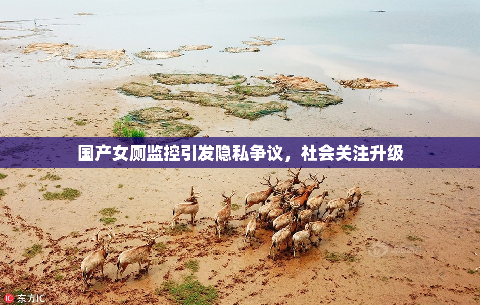 国产女厕监控引发隐私争议，社会关注升级