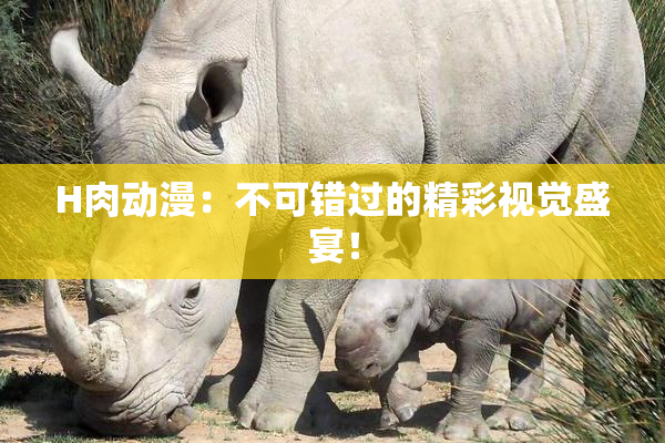H肉动漫：不可错过的精彩视觉盛宴！