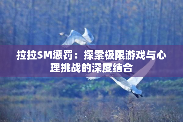拉拉SM惩罚：探索极限游戏与心理挑战的深度结合