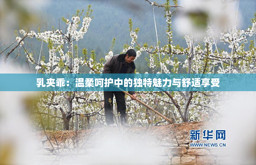乳夹乖：温柔呵护中的独特魅力与舒适享受