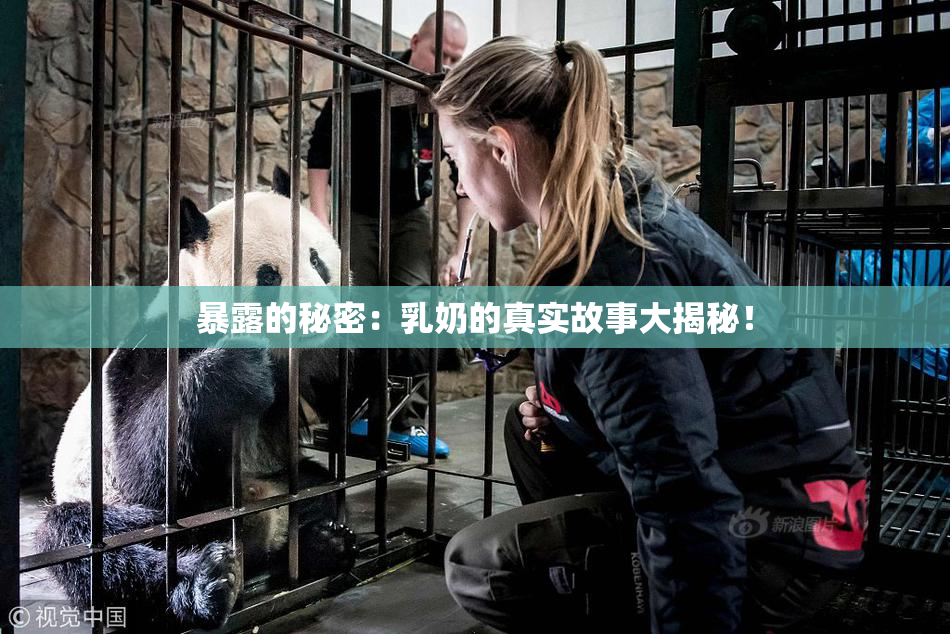 暴露的秘密：乳奶的真实故事大揭秘！