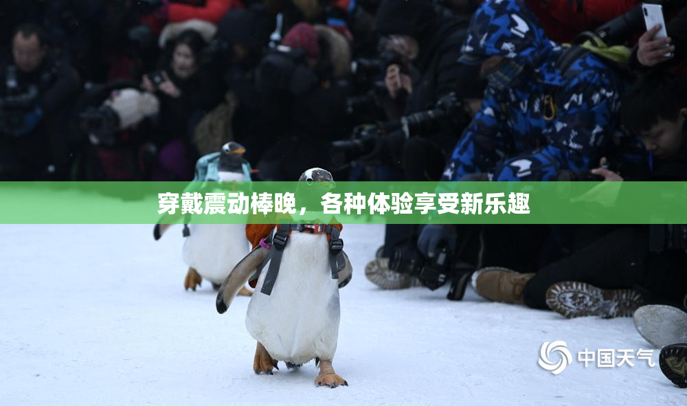 穿戴震动棒晚，各种体验享受新乐趣