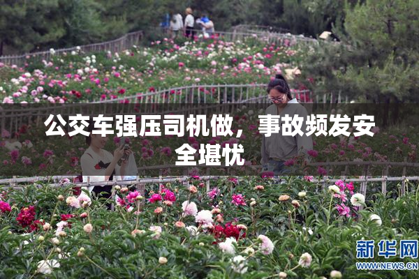 公交车强压司机做，事故频发安全堪忧