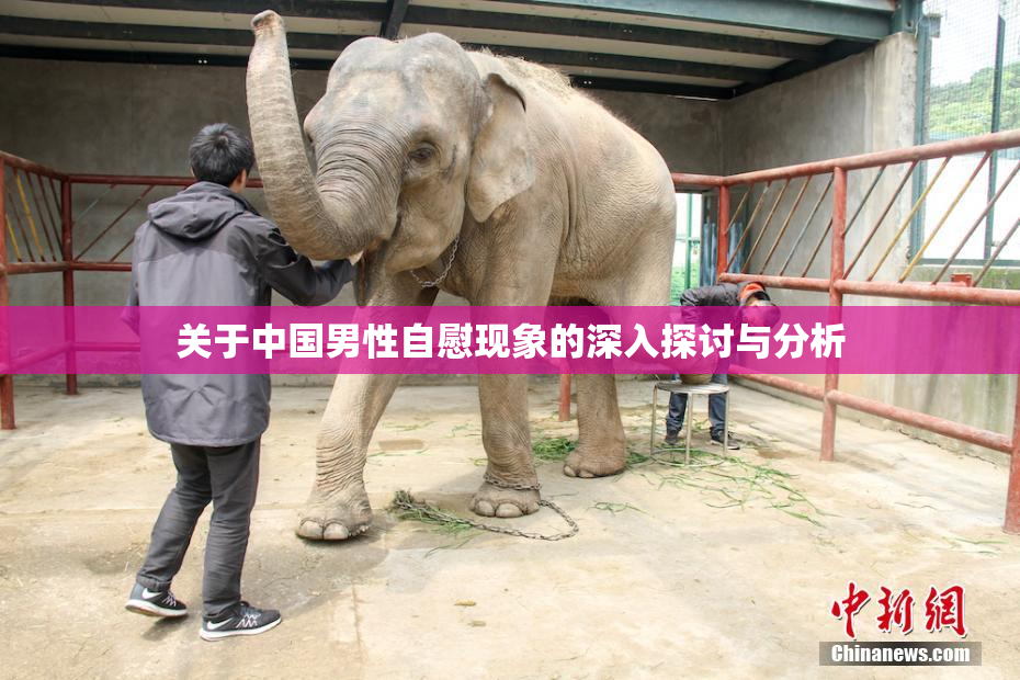 关于中国男性自慰现象的深入探讨与分析