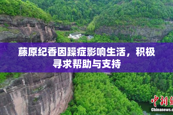 藤原纪香因躁症影响生活，积极寻求帮助与支持