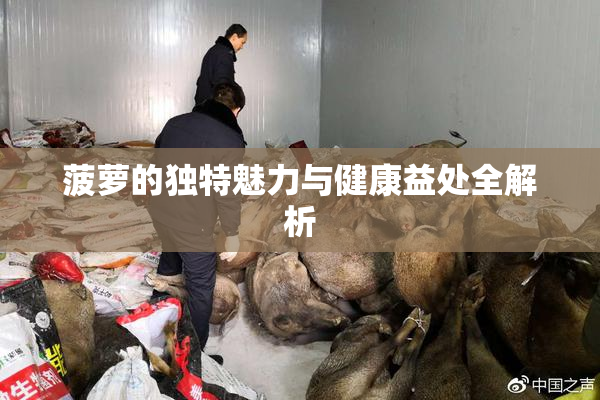 菠萝的独特魅力与健康益处全解析