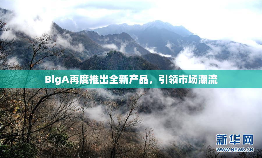 BigA再度推出全新产品，引领市场潮流