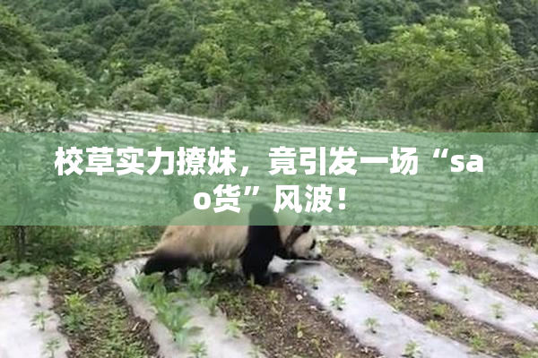校草实力撩妹，竟引发一场“sao货”风波！
