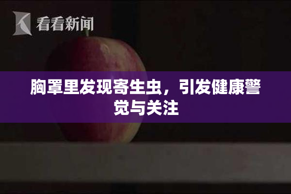 胸罩里发现寄生虫，引发健康警觉与关注