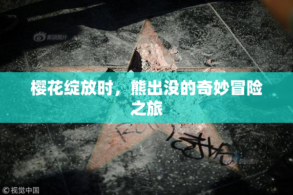 樱花绽放时，熊出没的奇妙冒险之旅