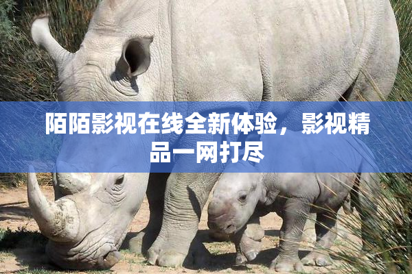 陌陌影视在线全新体验，影视精品一网打尽
