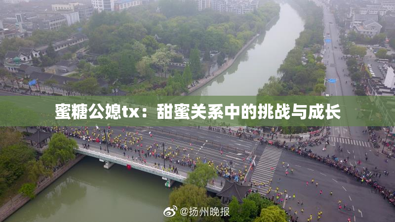 蜜糖公媳tx：甜蜜关系中的挑战与成长