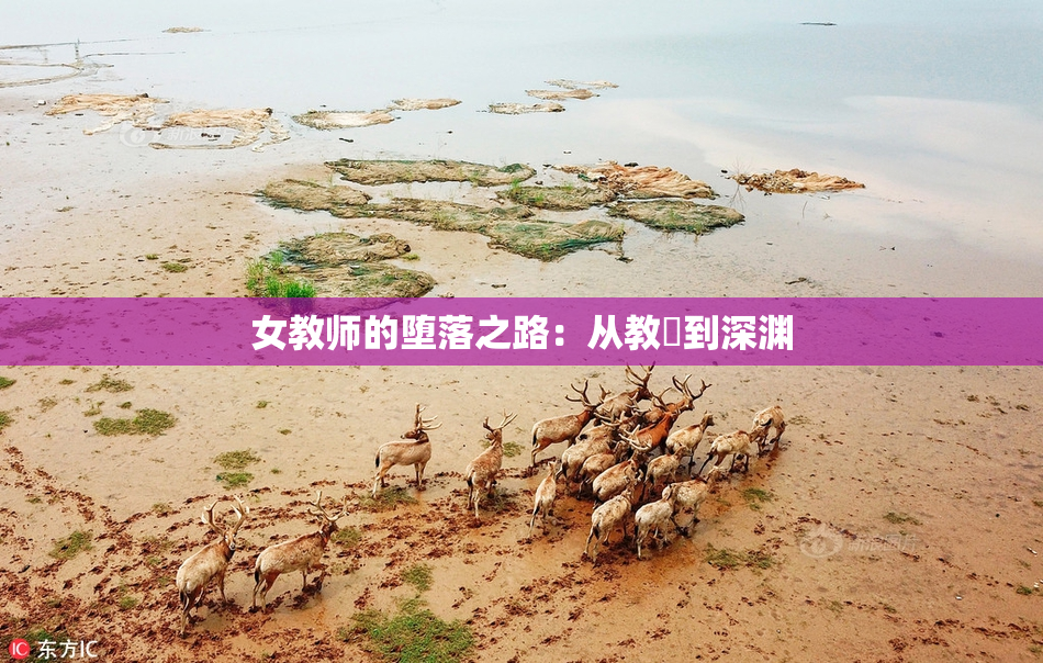 女教师的堕落之路：从教壇到深渊