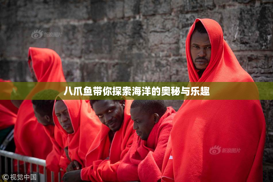 八爪鱼带你探索海洋的奥秘与乐趣
