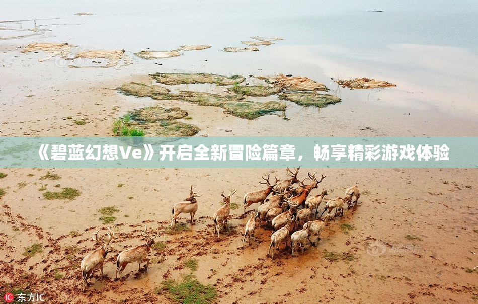 《碧蓝幻想Ve》开启全新冒险篇章，畅享精彩游戏体验