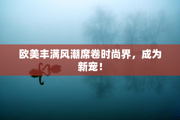 欧美丰满风潮席卷时尚界，成为新宠！