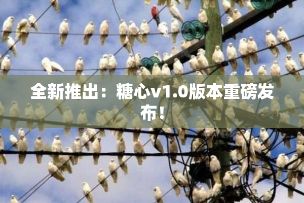 全新推出：糖心v1.0版本重磅发布！