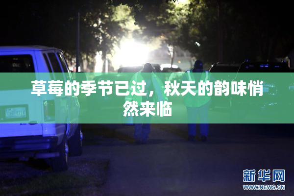 草莓的季节已过，秋天的韵味悄然来临