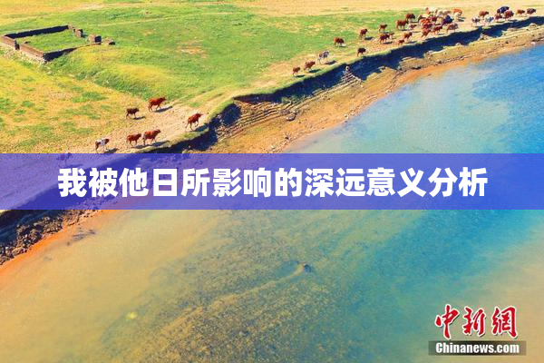 我被他日所影响的深远意义分析
