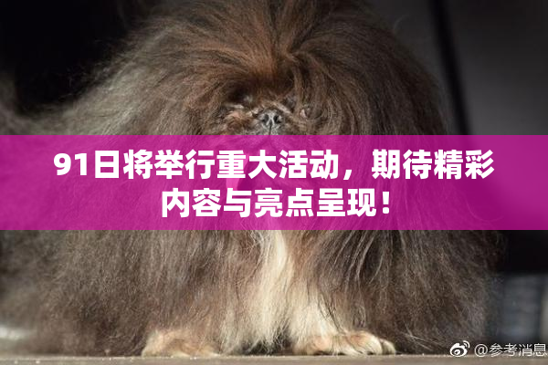 91日将举行重大活动，期待精彩内容与亮点呈现！