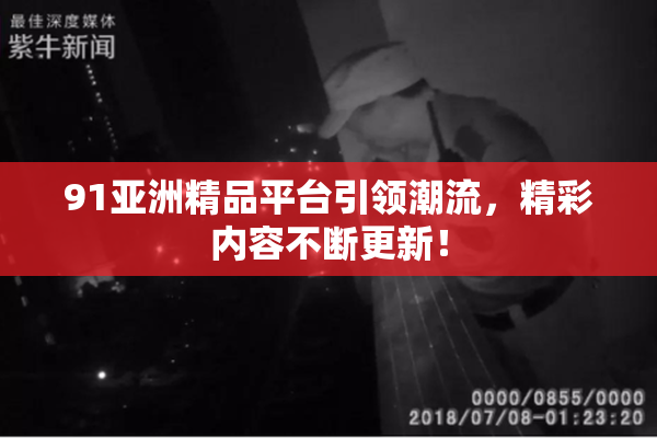 91亚洲精品平台引领潮流，精彩内容不断更新！