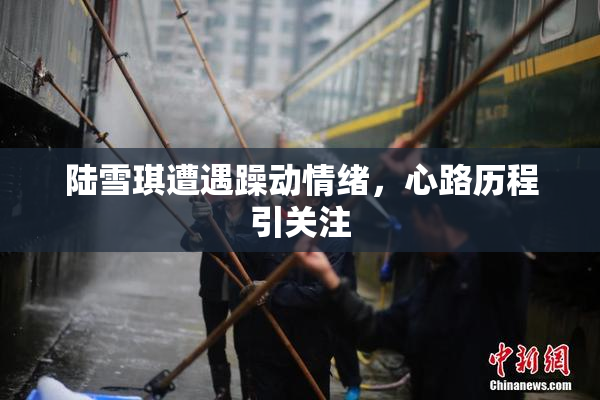 陆雪琪遭遇躁动情绪，心路历程引关注