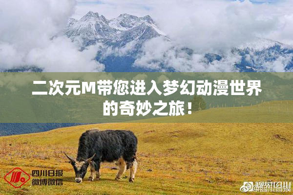 二次元M带您进入梦幻动漫世界的奇妙之旅！