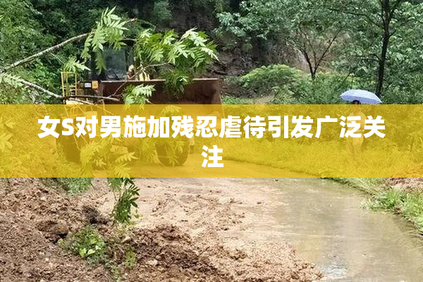 女S对男施加残忍虐待引发广泛关注