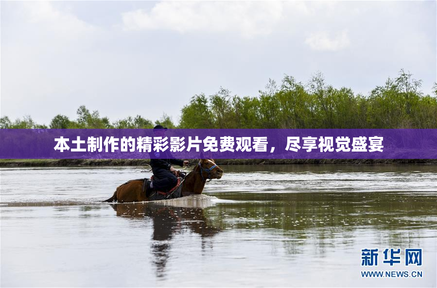 本土制作的精彩影片免费观看，尽享视觉盛宴