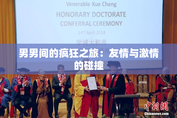 男男间的疯狂之旅：友情与激情的碰撞