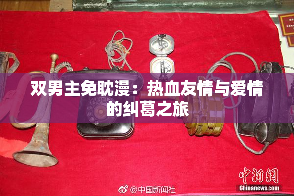双男主免耽漫：热血友情与爱情的纠葛之旅