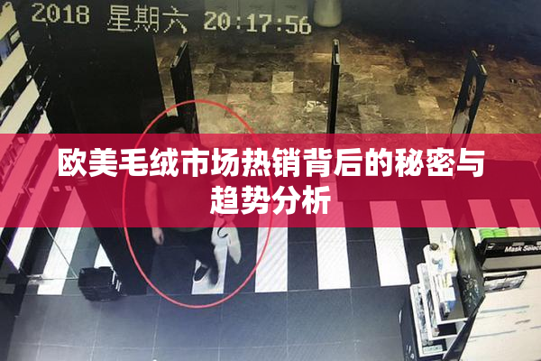 欧美毛绒市场热销背后的秘密与趋势分析