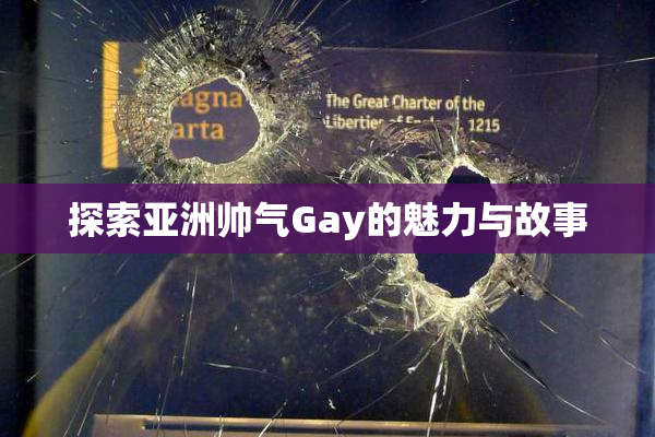 探索亚洲帅气Gay的魅力与故事