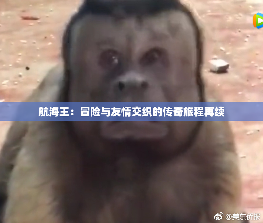 航海王：冒险与友情交织的传奇旅程再续