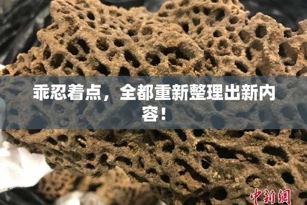 乖忍着点，全都重新整理出新内容！