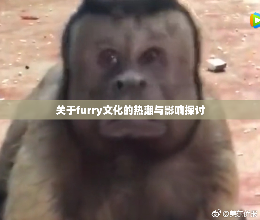关于furry文化的热潮与影响探讨