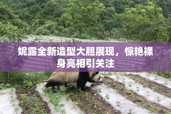 妮露全新造型大胆展现，惊艳裸身亮相引关注