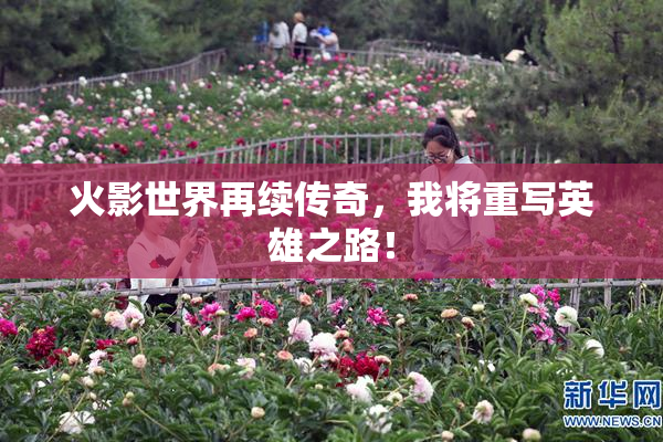 火影世界再续传奇，我将重写英雄之路！