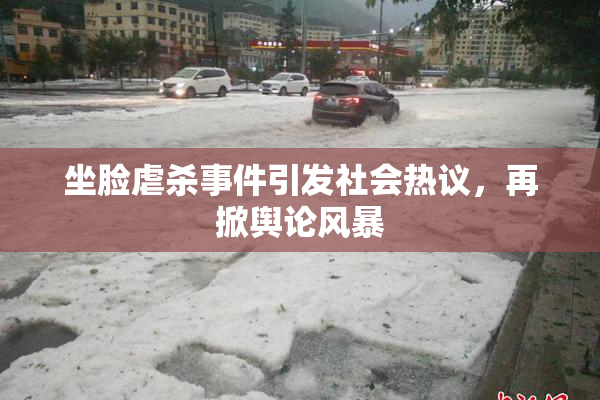 坐脸虐杀事件引发社会热议，再掀舆论风暴