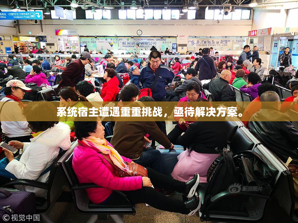 系统宿主遭遇重重挑战，亟待解决方案。