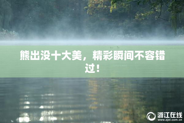熊出没十大美，精彩瞬间不容错过！