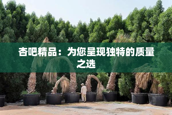 杏吧精品：为您呈现独特的质量之选