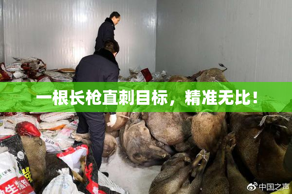 一根长枪直刺目标，精准无比！