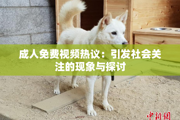 成人免费视频热议：引发社会关注的现象与探讨