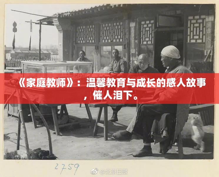 《家庭教师》：温馨教育与成长的感人故事，催人泪下。