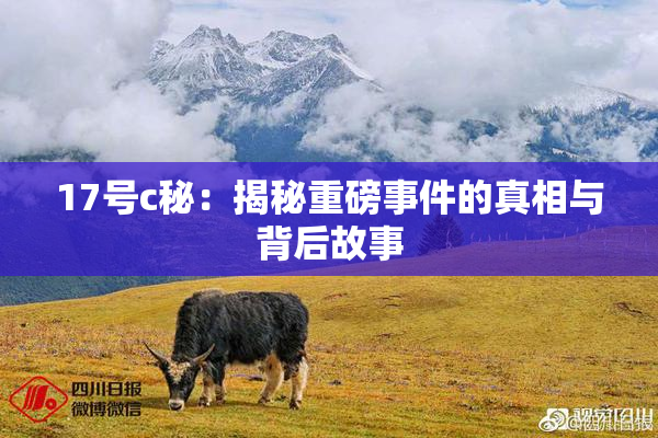17号c秘：揭秘重磅事件的真相与背后故事