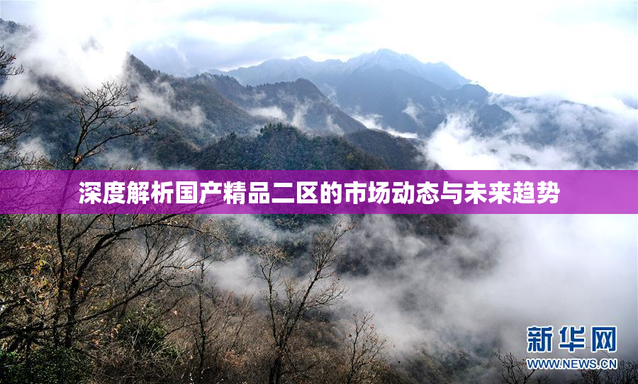 深度解析国产精品二区的市场动态与未来趋势